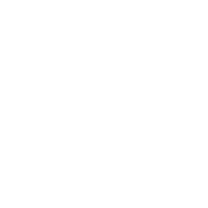 Icon of a magnifying glass and computer.
